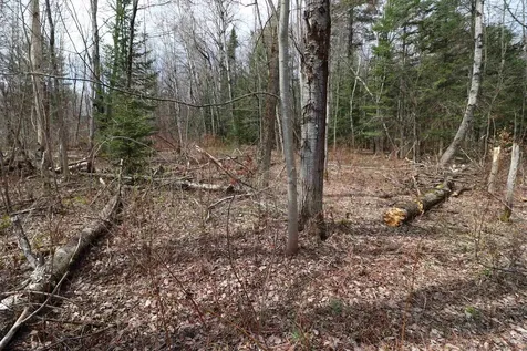 600 Woods Road South Warren VT 05674