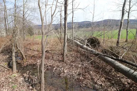 600 Woods Road South Warren VT 05674