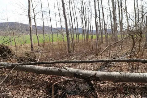 600 Woods Road South Warren VT 05674