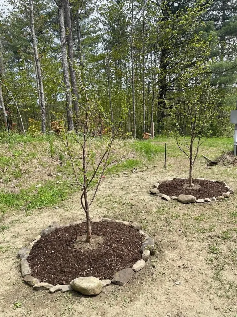 780 Loop Road Northfield VT 05663
