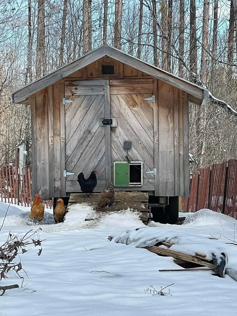 780 Loop Road Northfield VT 05663