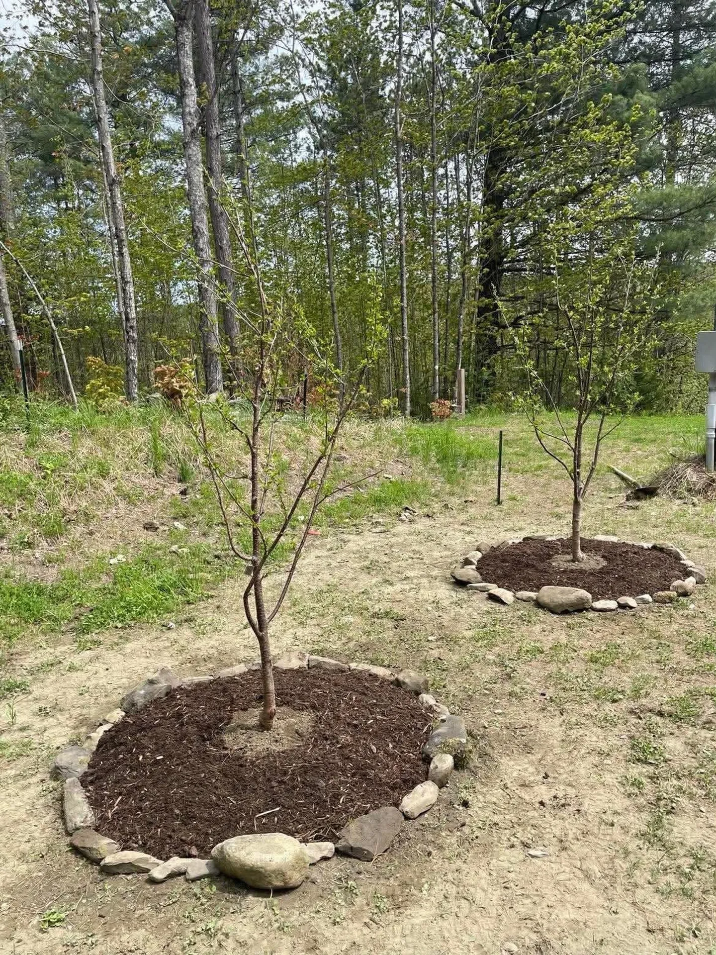 780 Loop Road Northfield VT 05663