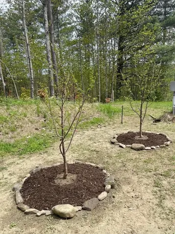 780 Loop Road Northfield VT 05663