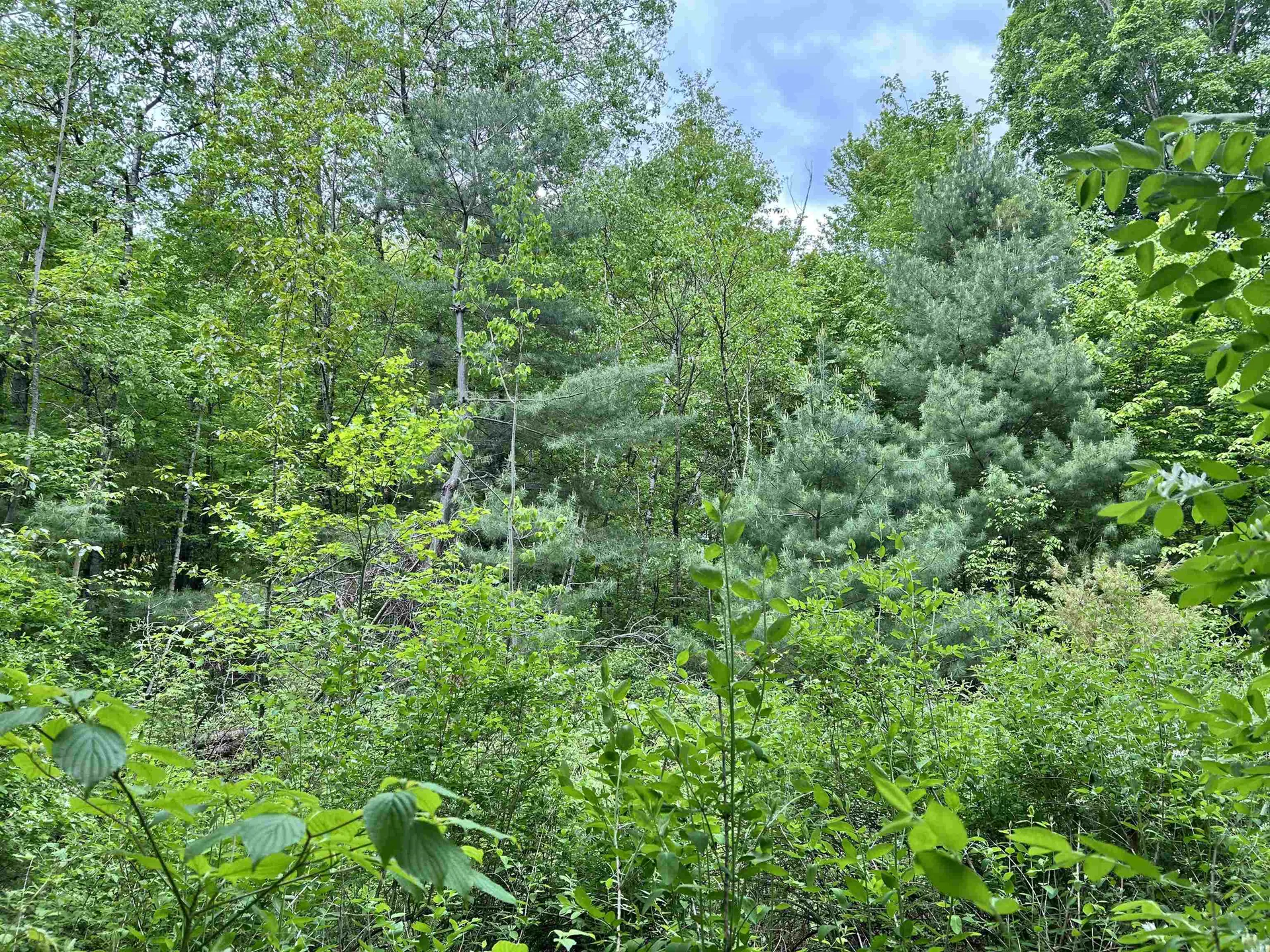 7 Sugar Hill Road Underhill VT 05489