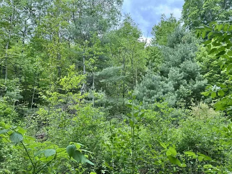 7 Sugar Hill Road Underhill VT 05489