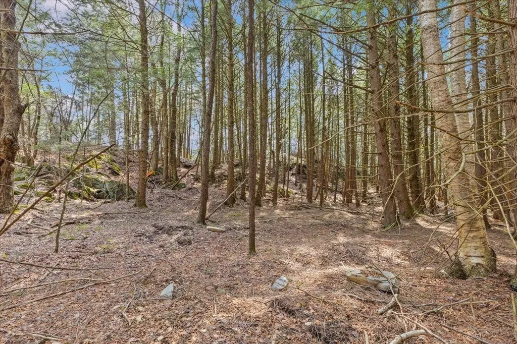 Lots 2 & 3 Hemlock Ridge Westford VT 05494