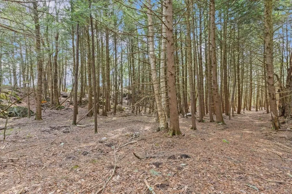 Lots 2 & 3 Hemlock Ridge Westford VT 05494