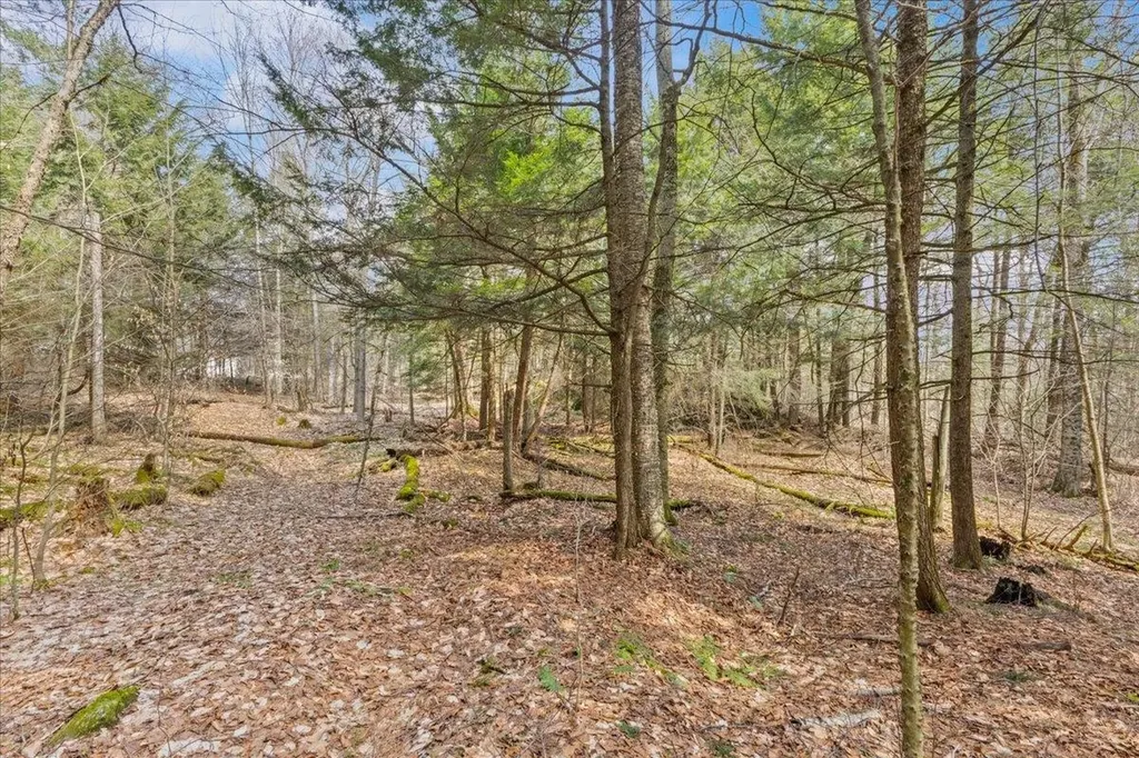Lots 2 & 3 Hemlock Ridge Westford VT 05494
