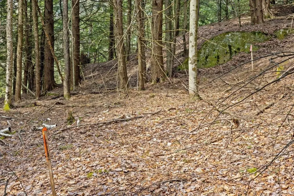Lots 2 & 3 Hemlock Ridge Westford VT 05494