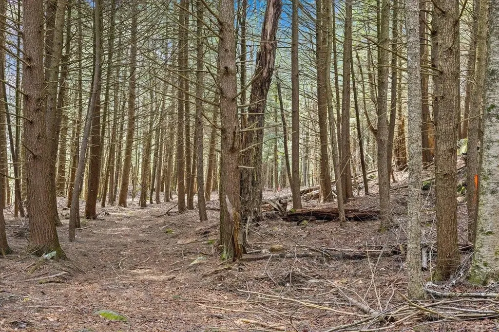 Lots 2 & 3 Hemlock Ridge Westford VT 05494