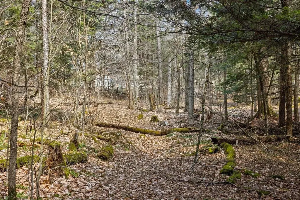 Lots 2 & 3 Hemlock Ridge Westford VT 05494
