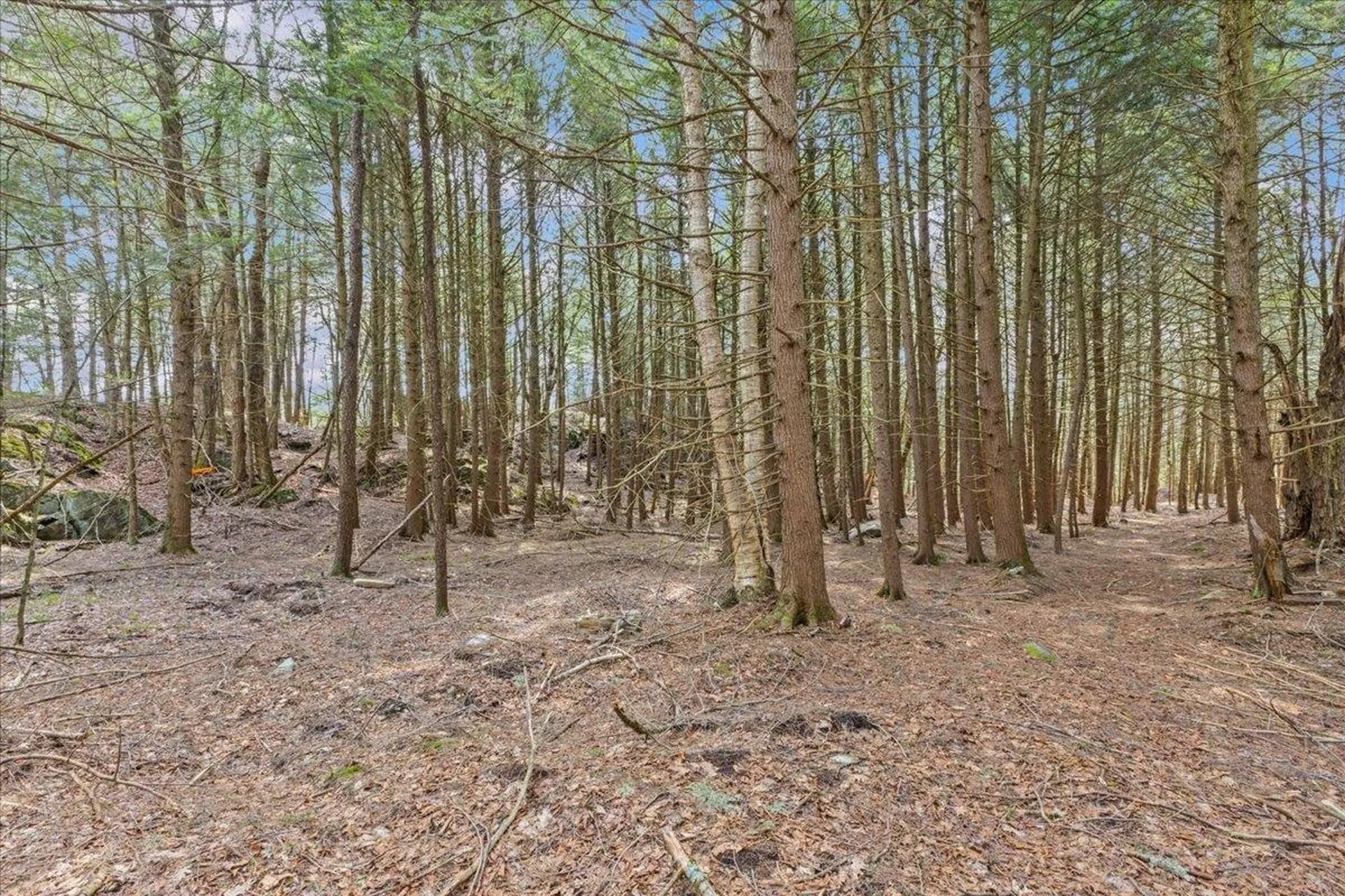 Lots 2 & 3 Hemlock Ridge Westford VT 05494
