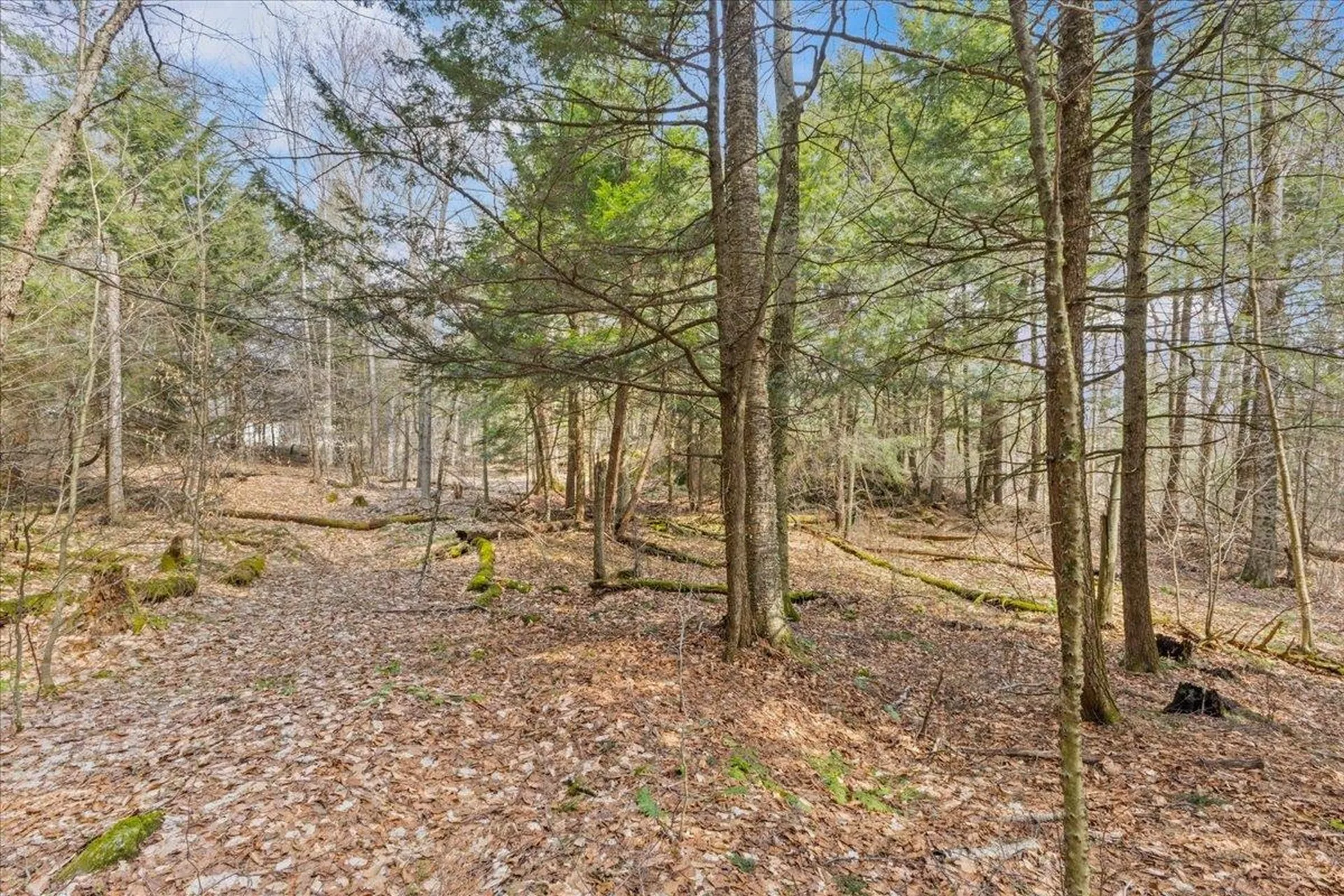 Lots 2 & 3 Hemlock Ridge Westford VT 05494
