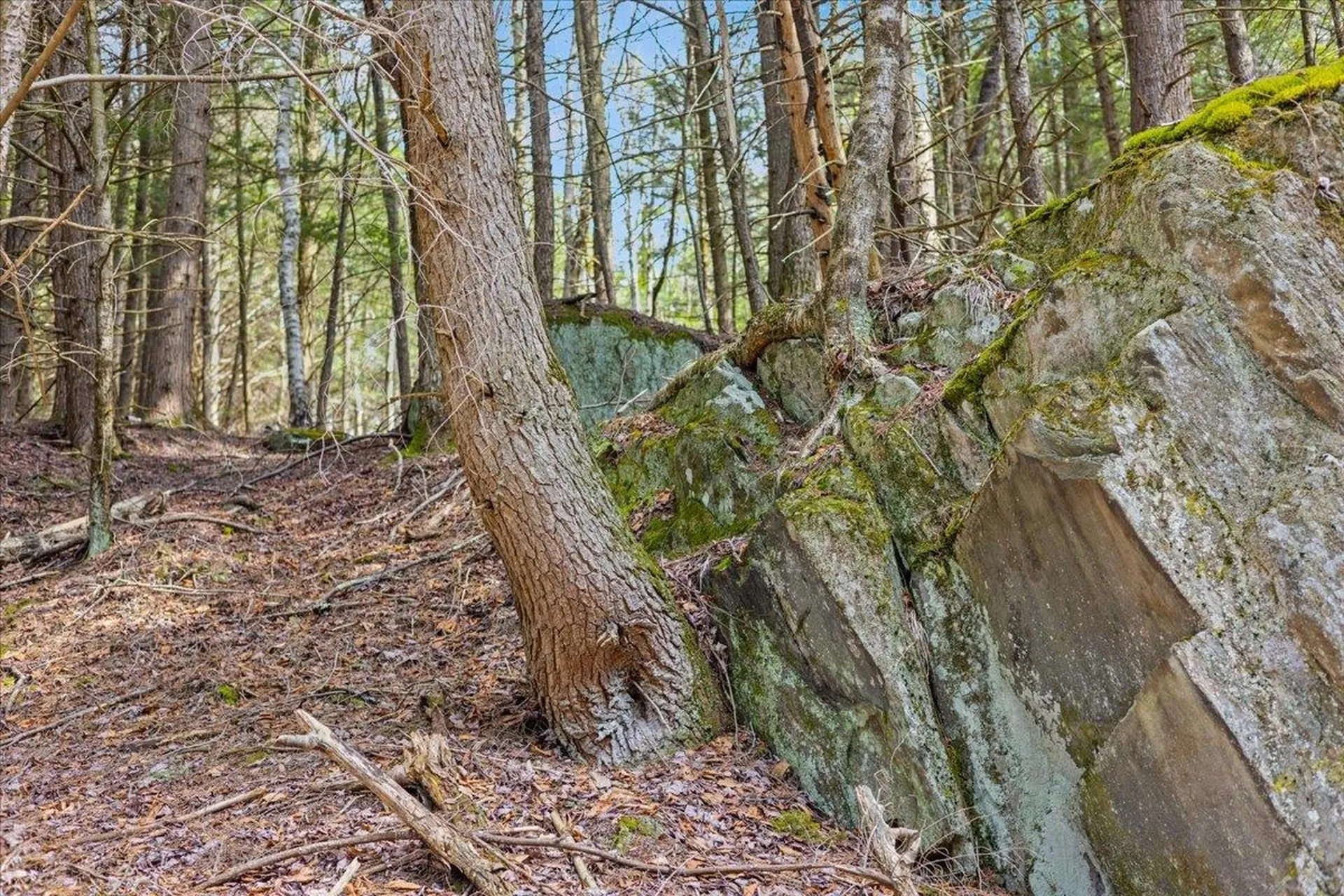 Lots 2 & 3 Hemlock Ridge Westford VT 05494