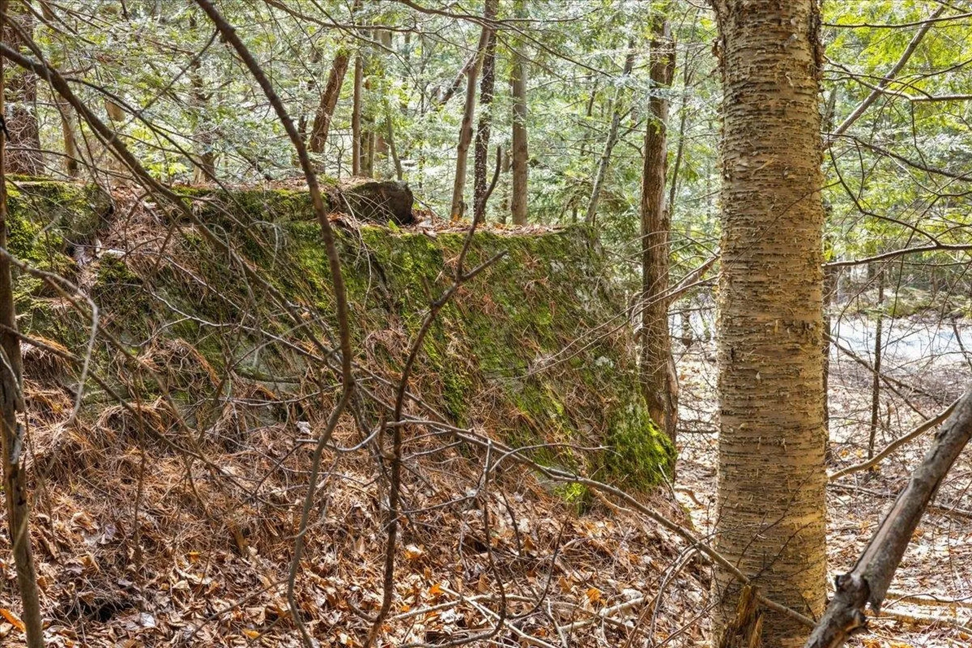 Lots 2 & 3 Hemlock Ridge Westford VT 05494