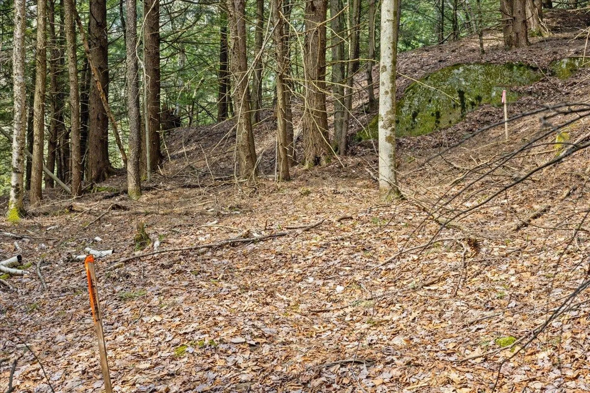 Lots 2 & 3 Hemlock Ridge Westford VT 05494