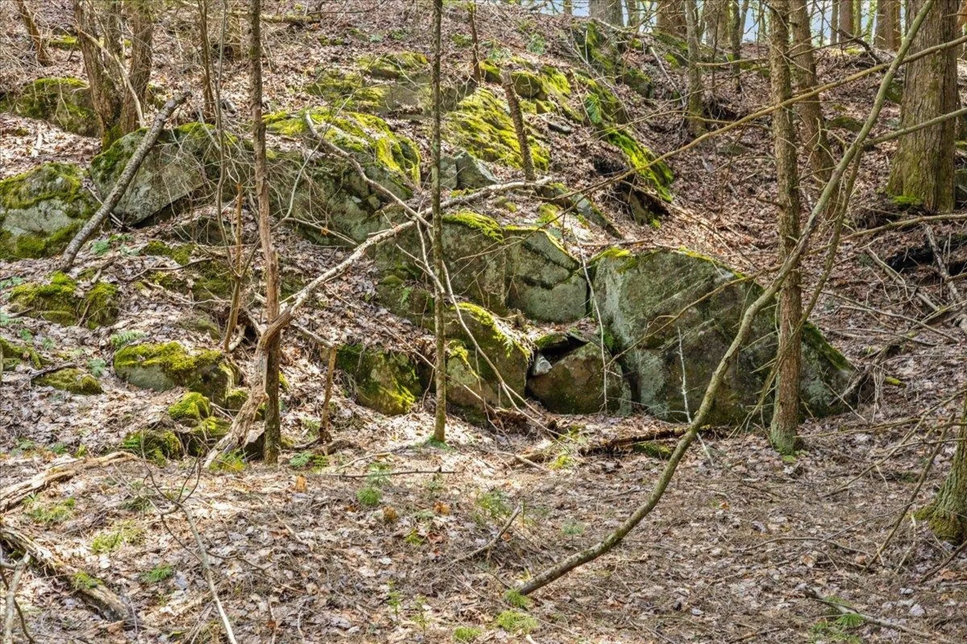 Lots 2 & 3 Hemlock Ridge Westford VT 05494