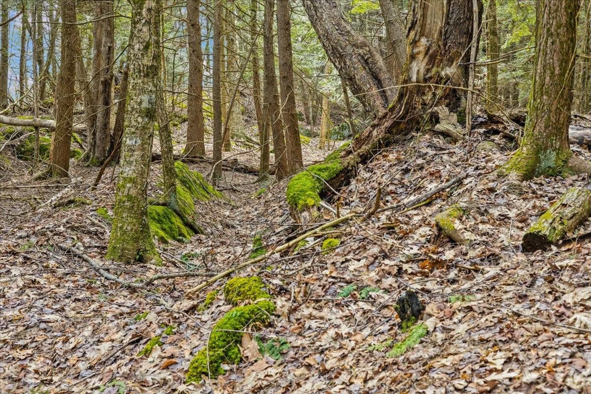 Lots 2 & 3 Hemlock Ridge Westford VT 05494