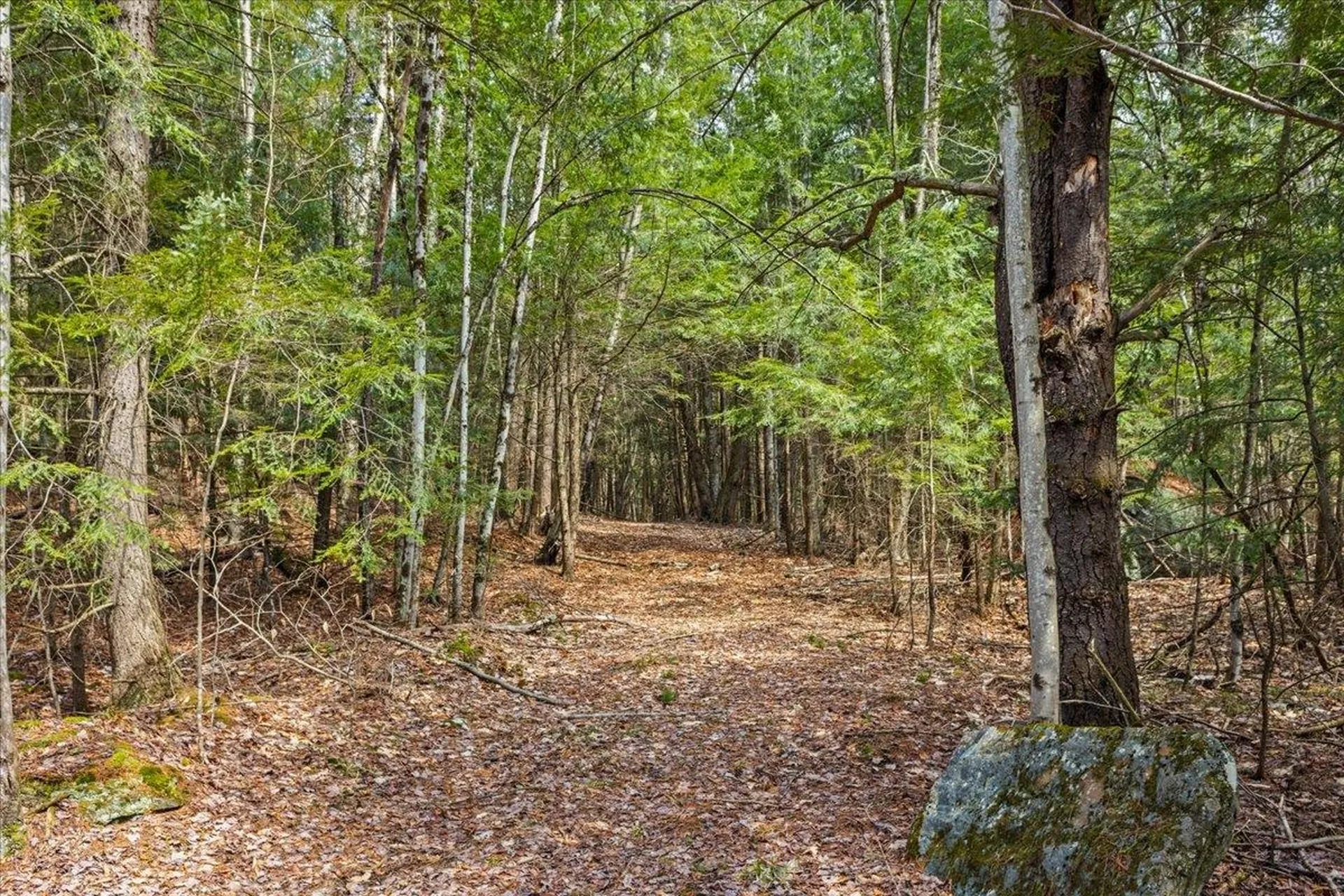 Lots 2 & 3 Hemlock Ridge Westford VT 05494
