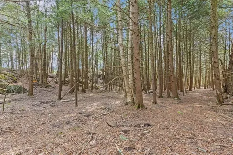 Lots 2 & 3 Hemlock Ridge Westford VT 05494