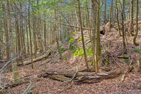 Lots 2 & 3 Hemlock Ridge Westford VT 05494