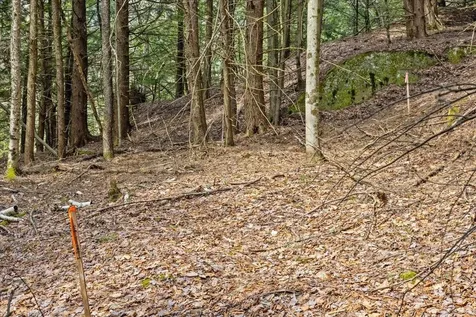 Lots 2 & 3 Hemlock Ridge Westford VT 05494