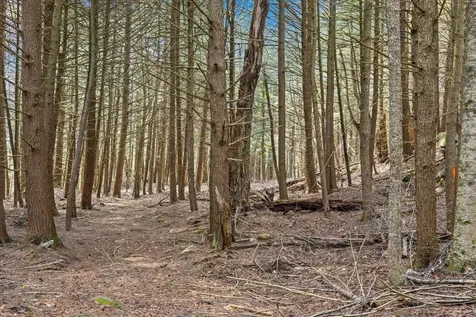 Lots 2 & 3 Hemlock Ridge Westford VT 05494