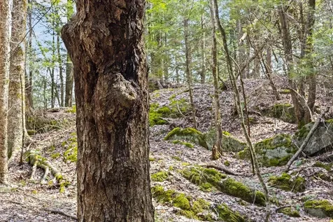 Lots 2 & 3 Hemlock Ridge Westford VT 05494