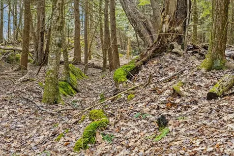 Lots 2 & 3 Hemlock Ridge Westford VT 05494