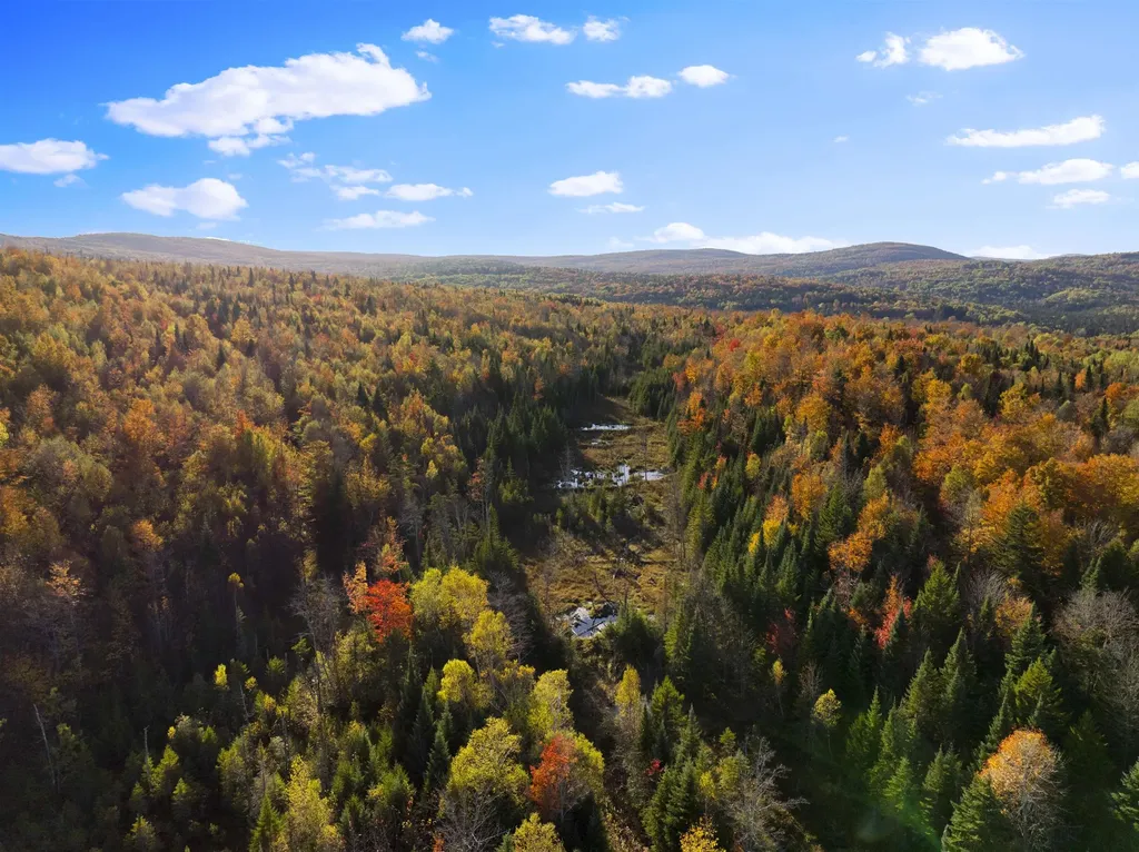 - Kemp Hill Road Canaan VT 05903
