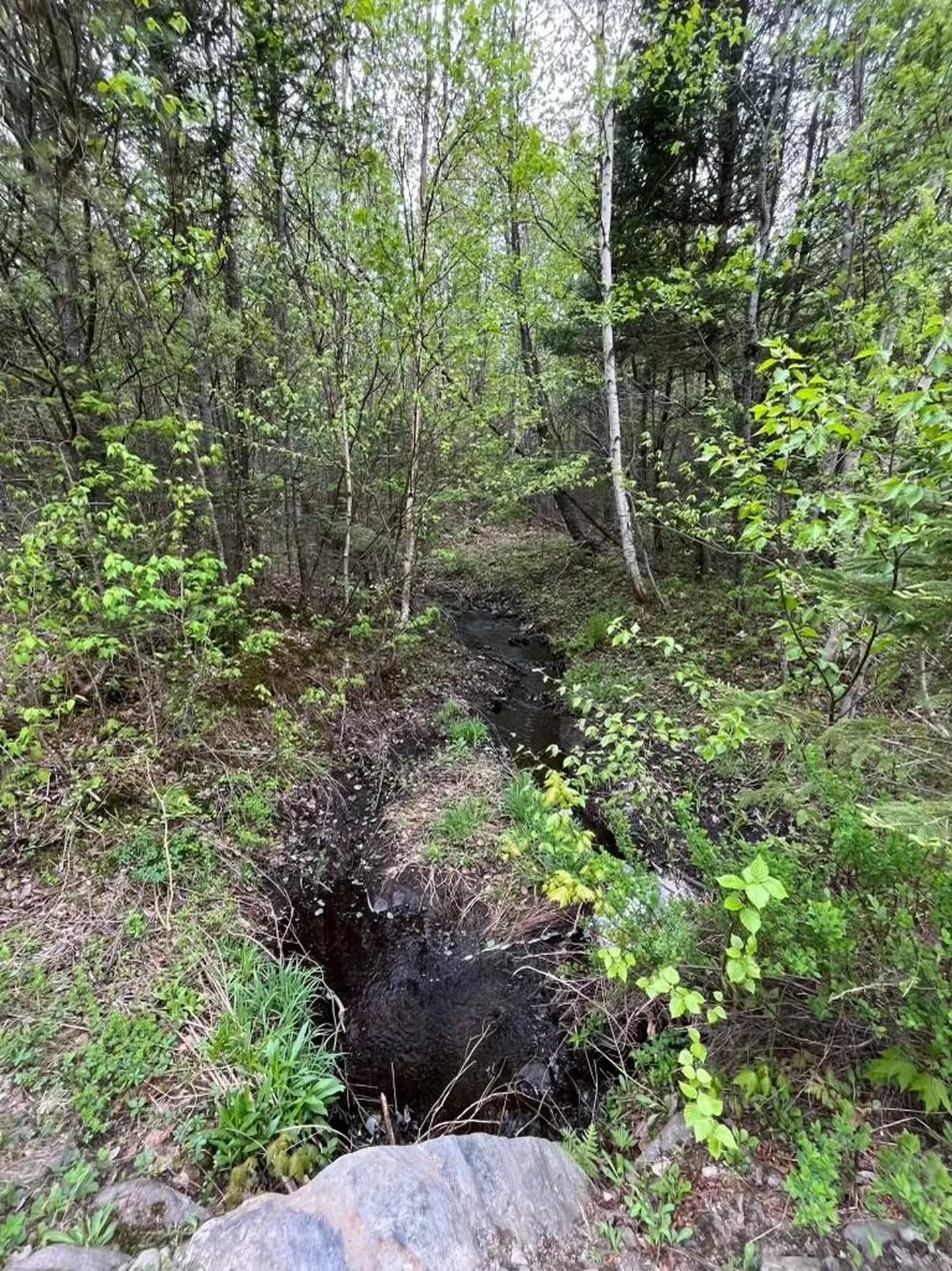 - Kemp Hill Road Canaan VT 05903