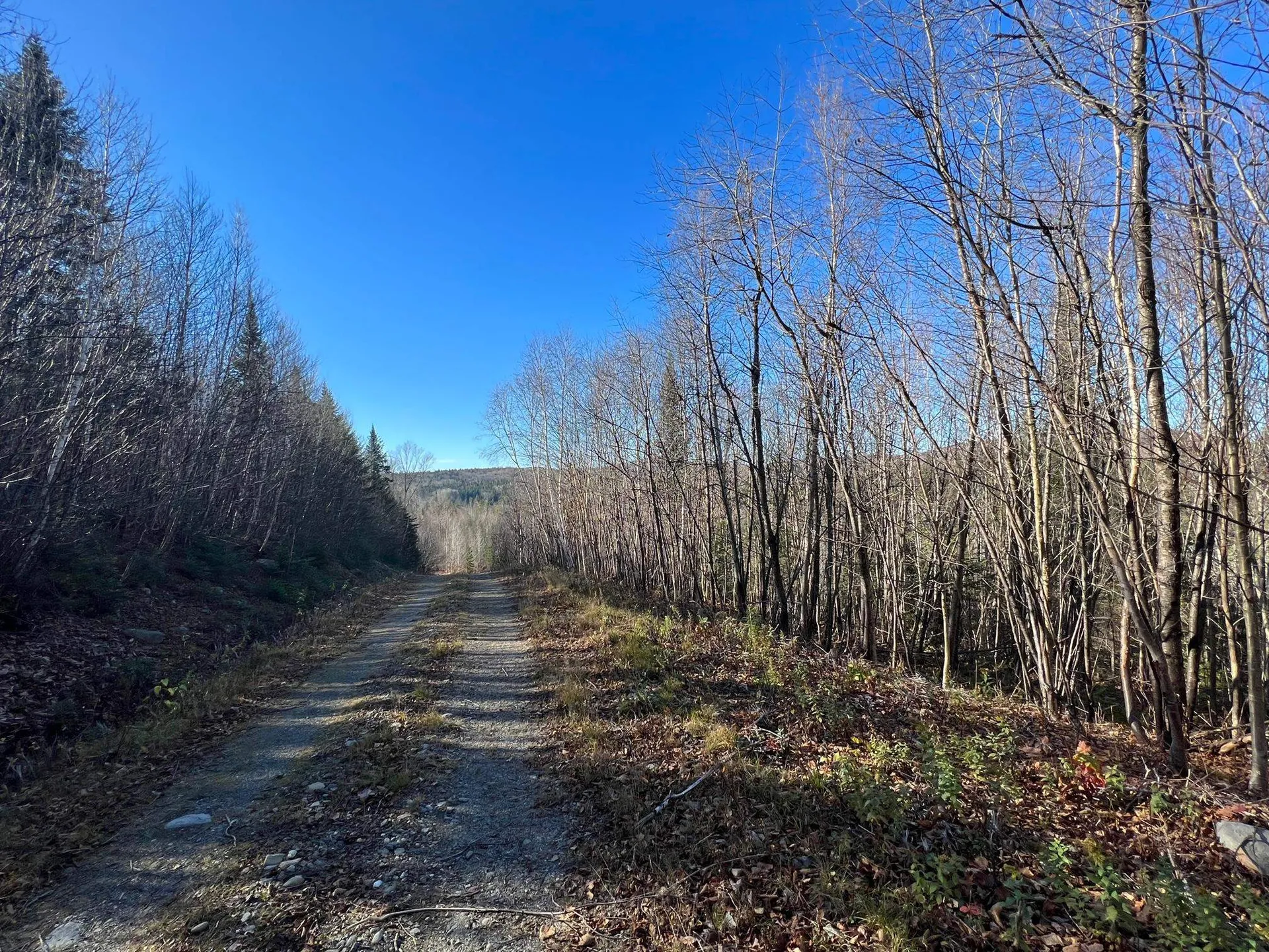 - Kemp Hill Road Canaan VT 05903