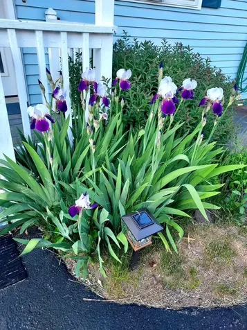 6 Marilyn Drive Belmont NH 03220