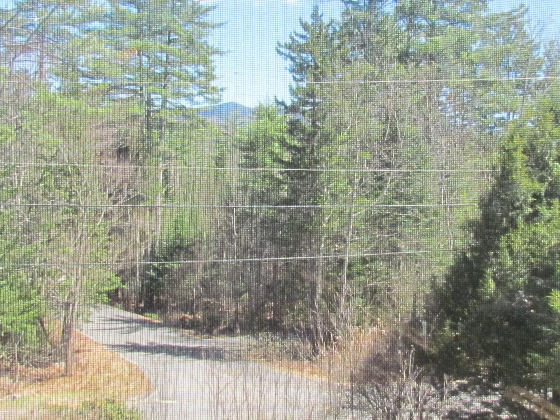 33 Sugar Run Thornton NH 03285