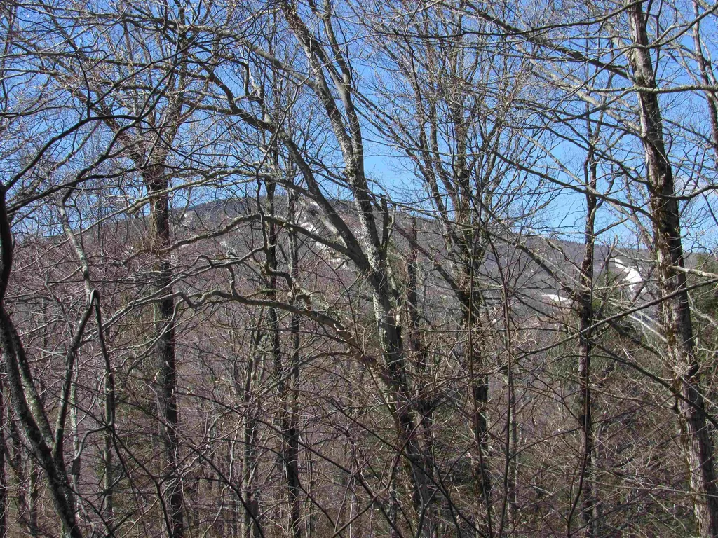 B2 Maple Ridge Road Winhall VT 05340