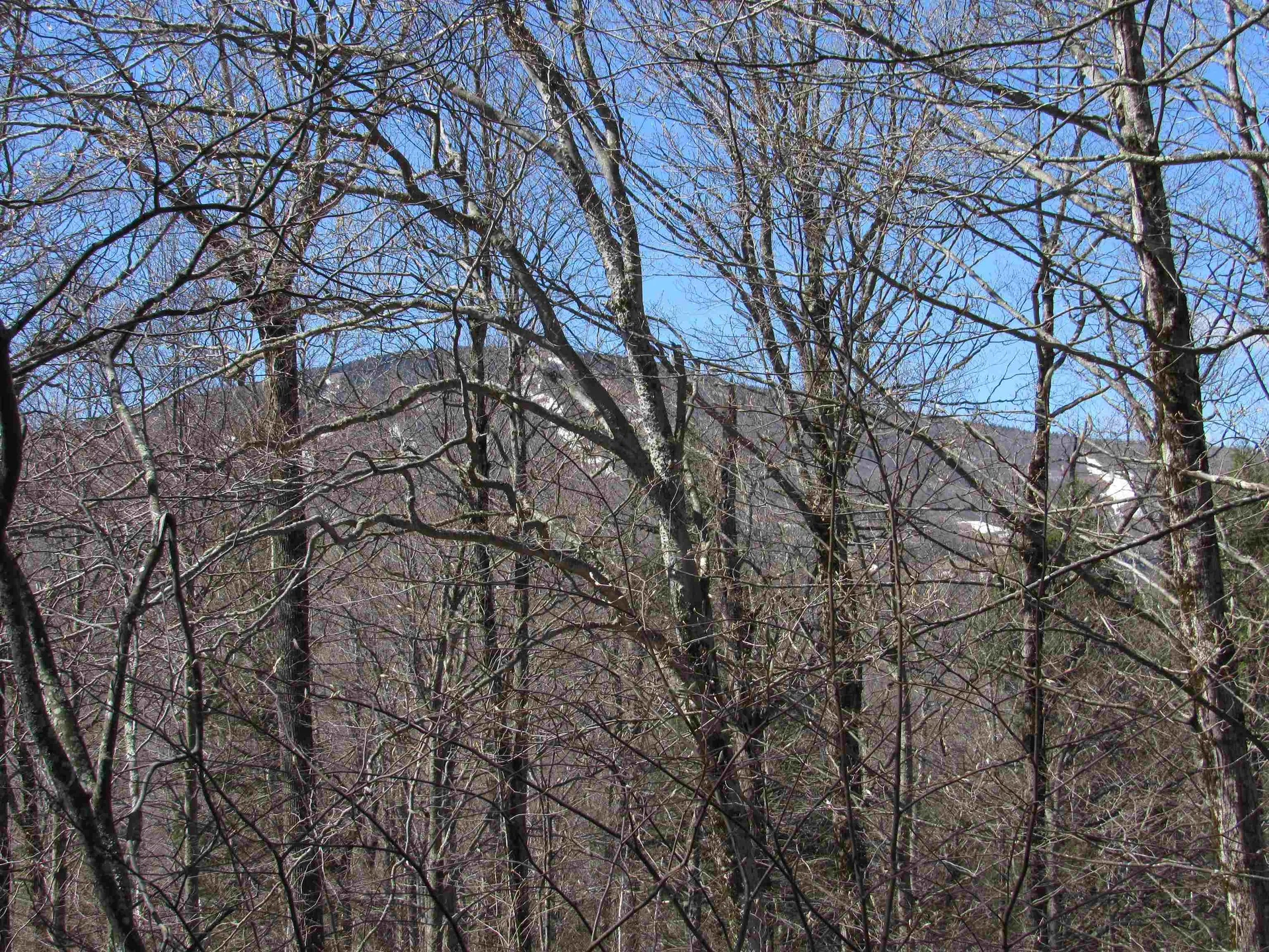 B2 Maple Ridge Road Winhall VT 05340