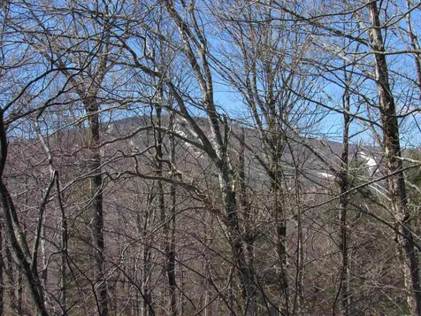 B2 Maple Ridge Road Winhall VT 05340