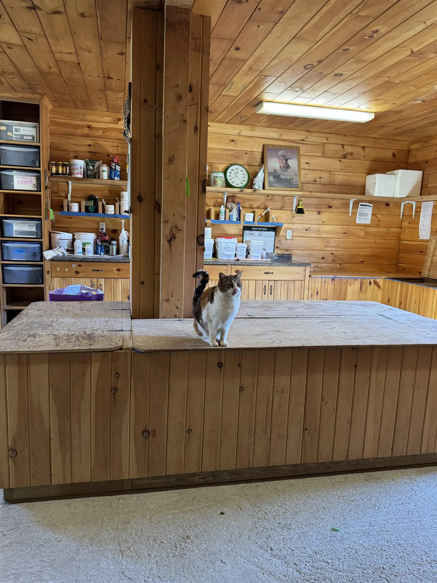 1374 Us Route 7s Wallingford VT 05773
