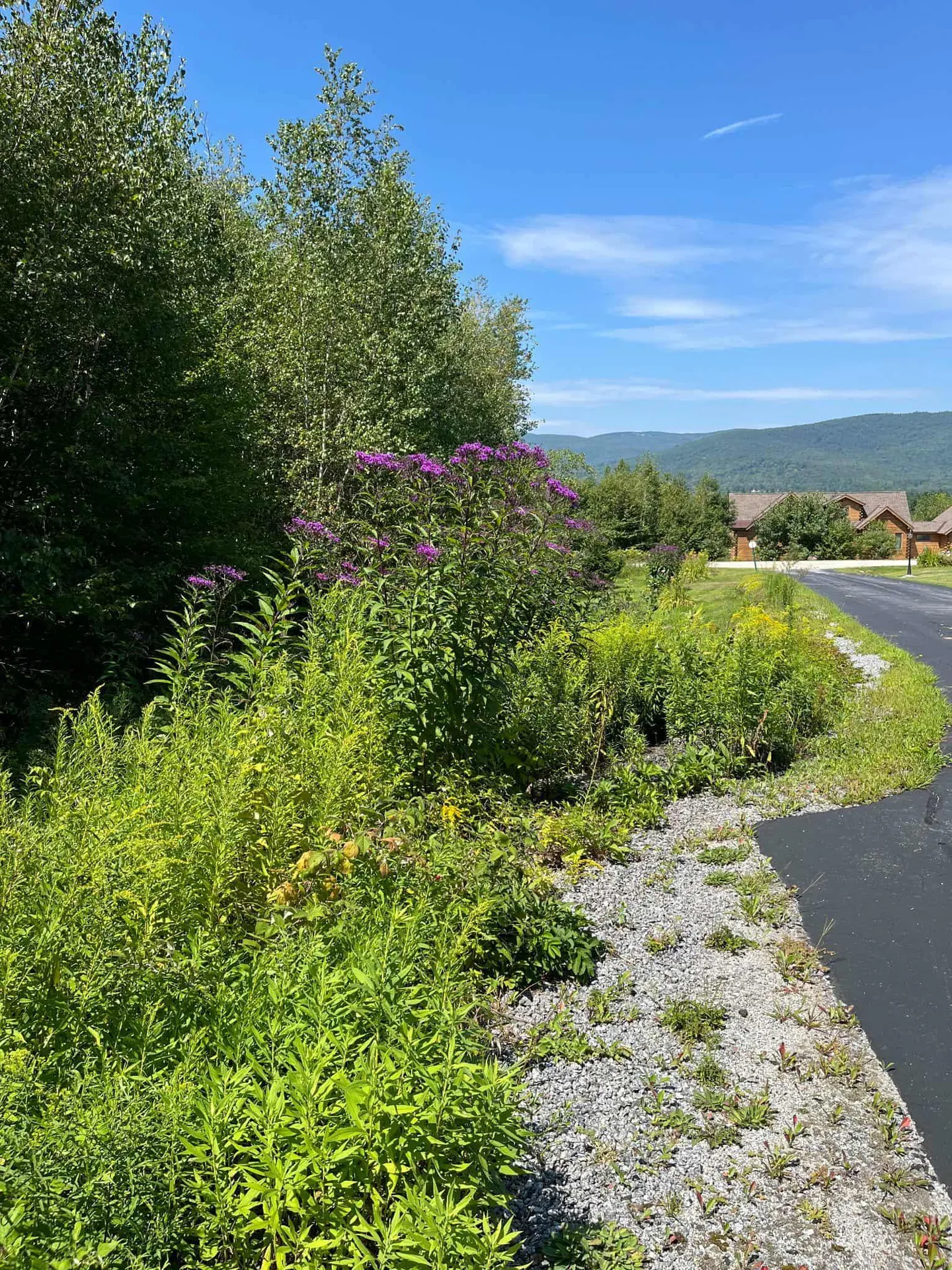 74 N Ridge Road Bradford NH 03221