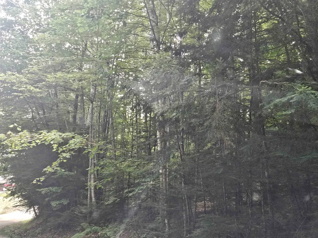 Lot 254 Kearsarge Drive Haverhill NH 03765