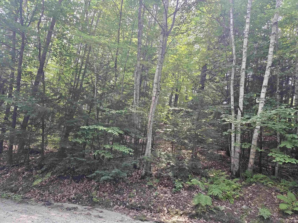 Lot 254 Kearsarge Drive Haverhill NH 03765