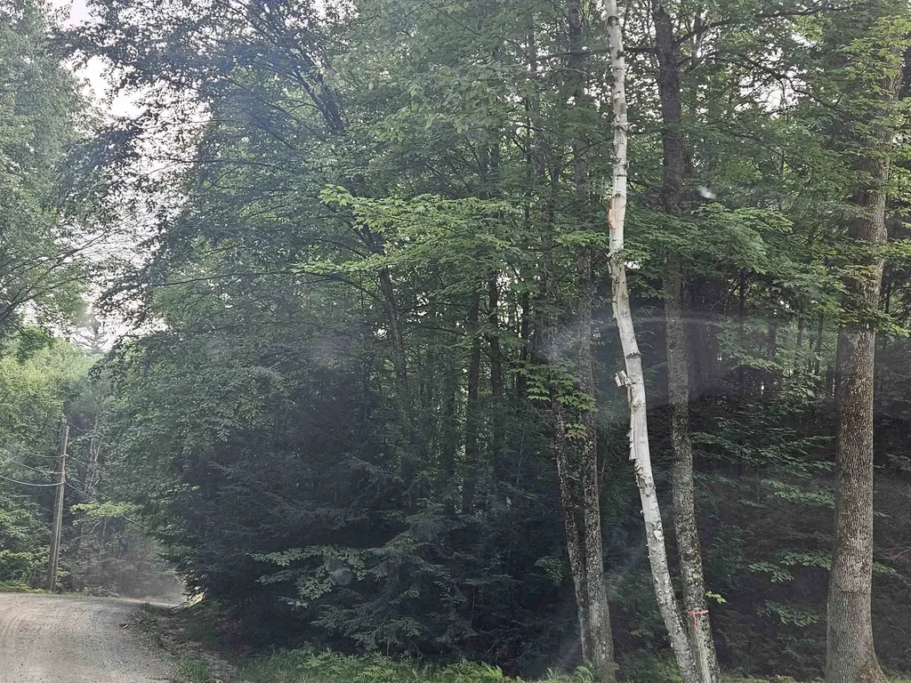 Lot 254 Kearsarge Drive Haverhill NH 03765