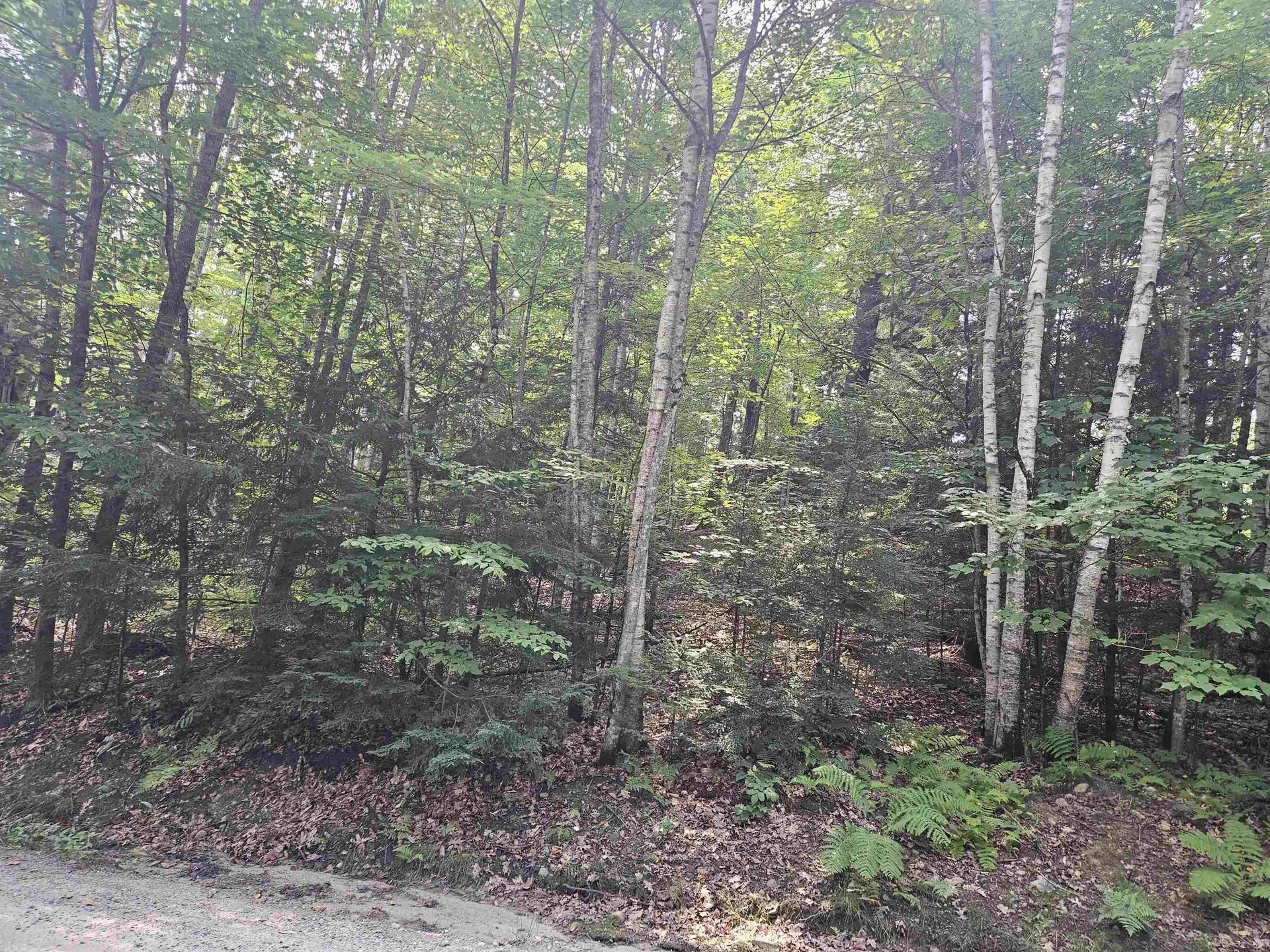 Lot 254 Kearsarge Drive Haverhill NH 03765