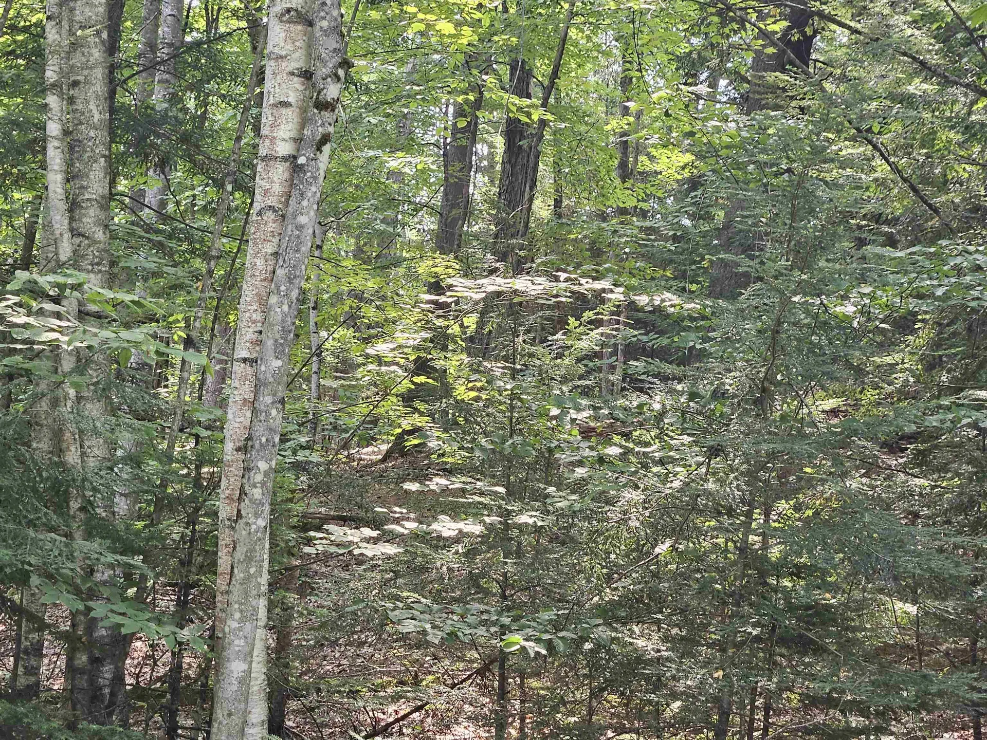 Lot 254 Kearsarge Drive Haverhill NH 03765