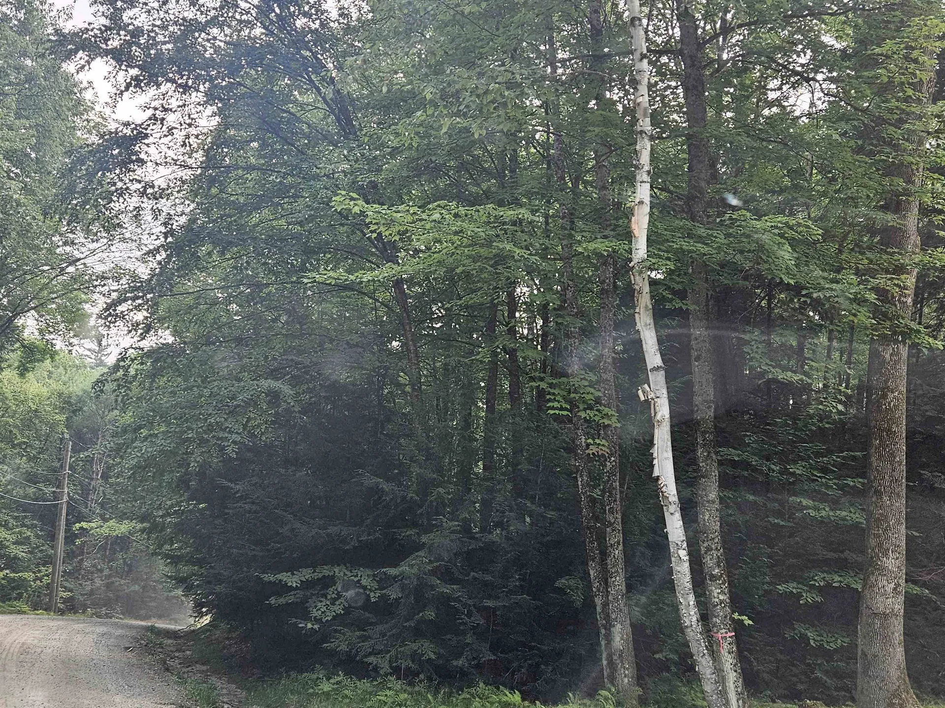 Lot 254 Kearsarge Drive Haverhill NH 03765