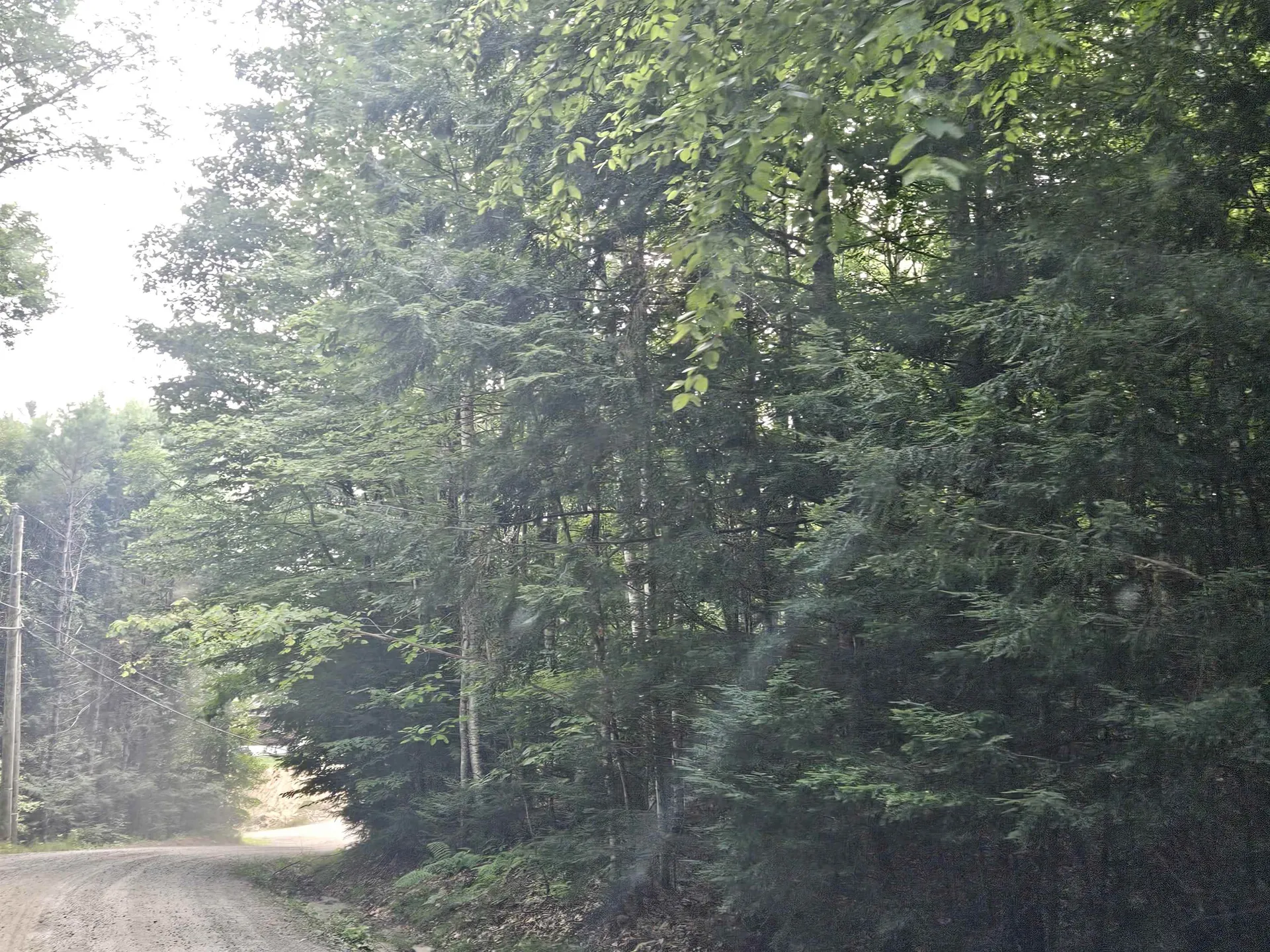 Lot 254 Kearsarge Drive Haverhill NH 03765