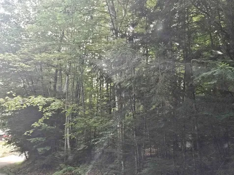 Lot 254 Kearsarge Drive Haverhill NH 03765