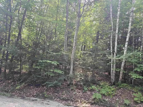 Lot 254 Kearsarge Drive Haverhill NH 03765