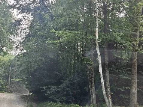 Lot 254 Kearsarge Drive Haverhill NH 03765