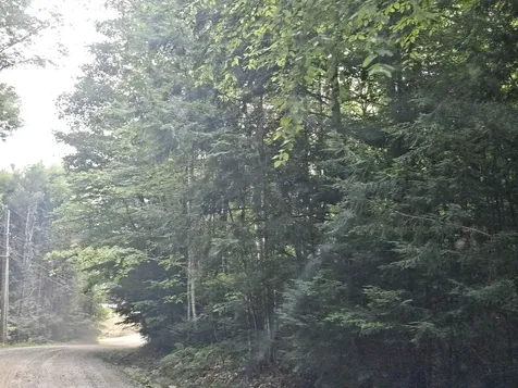 Lot 254 Kearsarge Drive Haverhill NH 03765